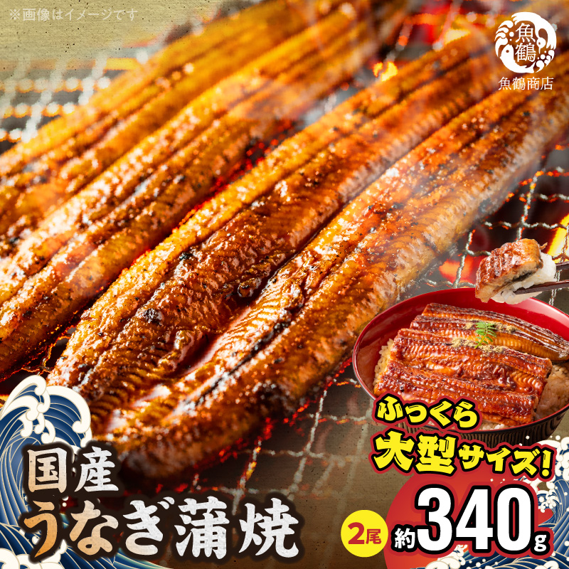 G7005_大型サイズ ふっくら柔らか 国産うなぎ 蒲焼き 2尾 (約4人前) 化粧箱入