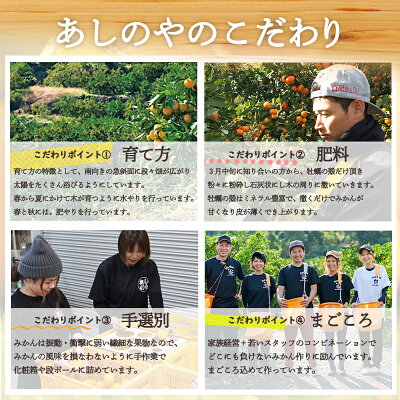 ZE6110n_【2026年先行予約】有田の不知火(しらぬひ)　6玉 （L～2Lサイズ）まごころ手選別