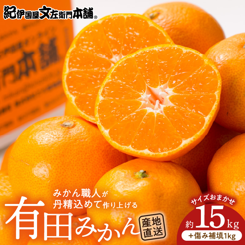 V7440_【2026年先行予約】有田みかん 約15kg(+傷み補填分1kg)=合計16kg【サイズおまかせ】 / 産地直送 / 紀伊国屋文左衛門本舗（お届け日指定不可）