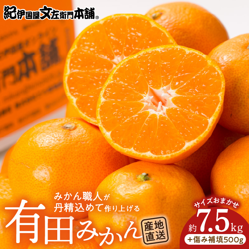 V7441_【2026年先行予約】有田みかん約7.5kg(+傷み補填分500g)=合計8kg【サイズおまかせ】 / 産地直送 / 紀伊国屋文左衛門本舗（お届け日指定不可）