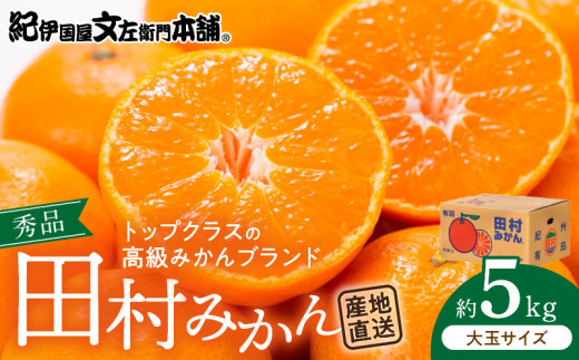 V7451_田村みかん／5kg秀品【大玉サイズ】/ 紀州和歌山有田郡湯浅町田村地区産 / 最高級プレミアムブランドの田村ミカン   / 紀伊国屋文左衛門本舗(お届け日指定不可)