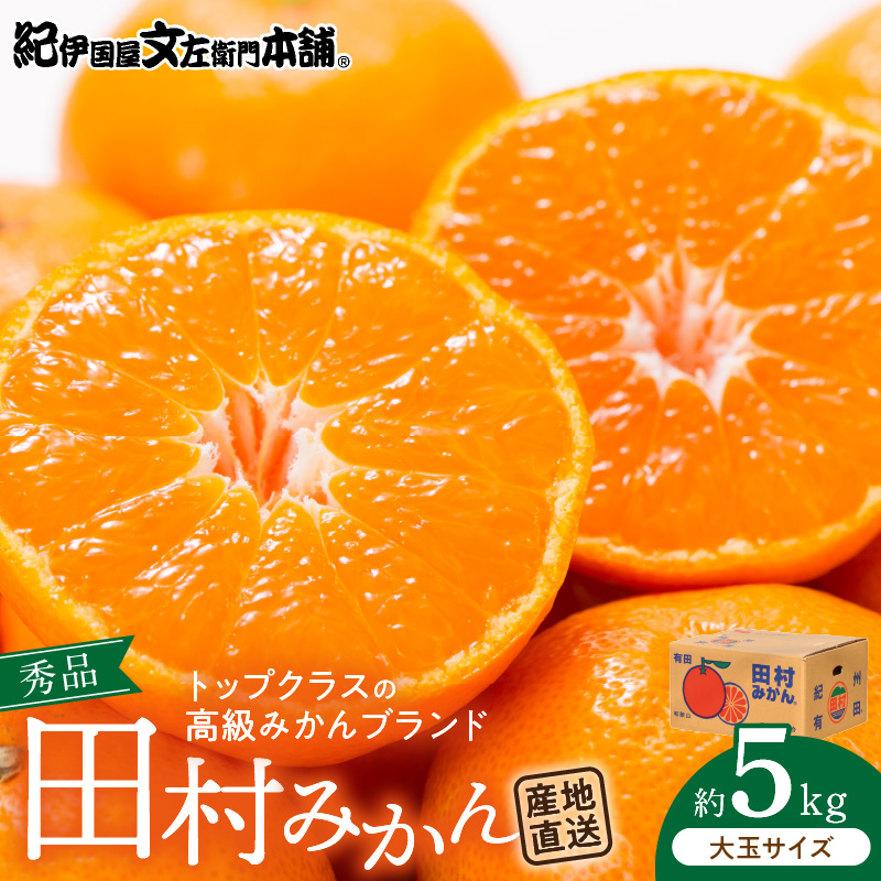 V7451_【2026年先行予約】田村みかん／5kg秀品【大玉サイズ】