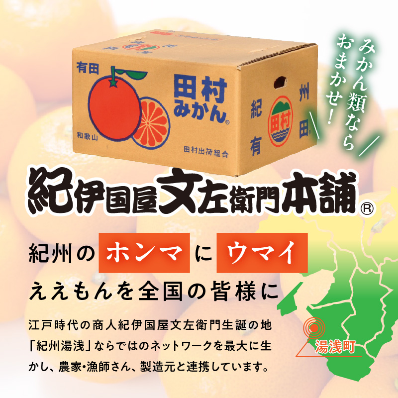 V7451_【2026年先行予約】田村みかん／5kg秀品【大玉サイズ】