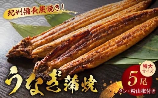 V7303_炭焼き うなぎ 蒲焼 特大サイズ 5尾 セット（約200g前後×5尾）タレ 粉山椒 付き　国産 鰻　冷凍 ウナギ　1尾ずつ真空パック　土用の丑の日　紀伊国屋文左衛門本舗