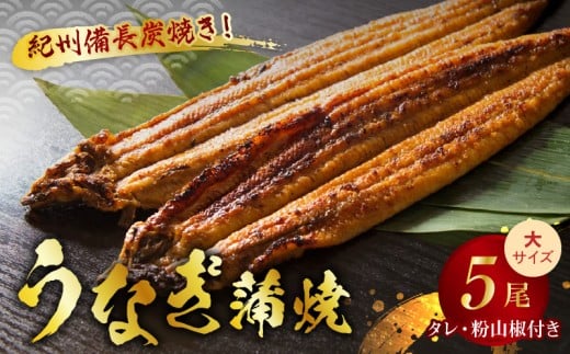 V7304_炭焼き うなぎ 蒲焼 大サイズ 5尾 セット（約150～199g×5尾）タレ・粉山椒付き　国産鰻　冷凍ウナギ　1尾ずつ真空パック　土用の丑の日　紀伊国屋文左衛門本舗