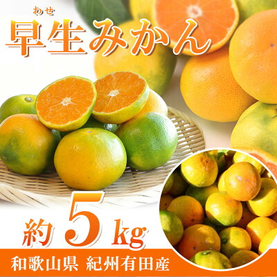 G7097_邏蟾槫柱豁悟アア譛臥伐逕」 繧繧画掠逕溘∩縺九s 5kg縲舌Α繧ォ繝ウ 陷懈汨 譟第ゥ 貂ゥ蟾槭∩縺九s 繧上○縺ソ縺九s縲