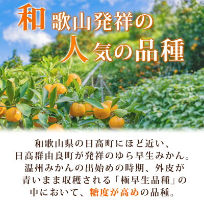 G7097_邏蟾槫柱豁悟アア譛臥伐逕」 繧繧画掠逕溘∩縺九s 5kg縲舌Α繧ォ繝ウ 陷懈汨 譟第ゥ 貂ゥ蟾槭∩縺九s 繧上○縺ソ縺九s縲