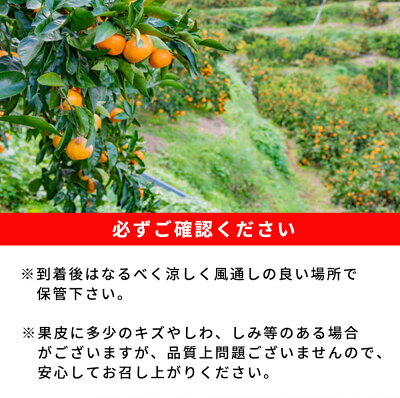 G7097_邏蟾槫柱豁悟アア譛臥伐逕」 繧繧画掠逕溘∩縺九s 5kg縲舌Α繧ォ繝ウ 陷懈汨 譟第ゥ 貂ゥ蟾槭∩縺九s 繧上○縺ソ縺九s縲