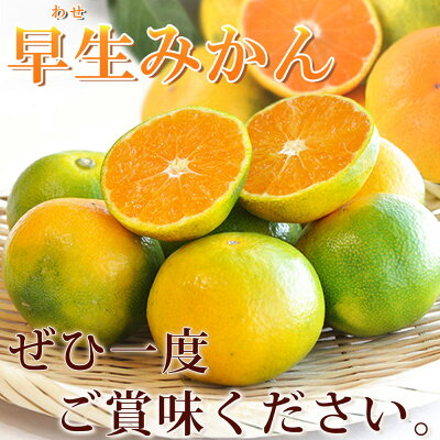 G7097_邏蟾槫柱豁悟アア譛臥伐逕」 繧繧画掠逕溘∩縺九s 5kg縲舌Α繧ォ繝ウ 陷懈汨 譟第ゥ 貂ゥ蟾槭∩縺九s 繧上○縺ソ縺九s縲