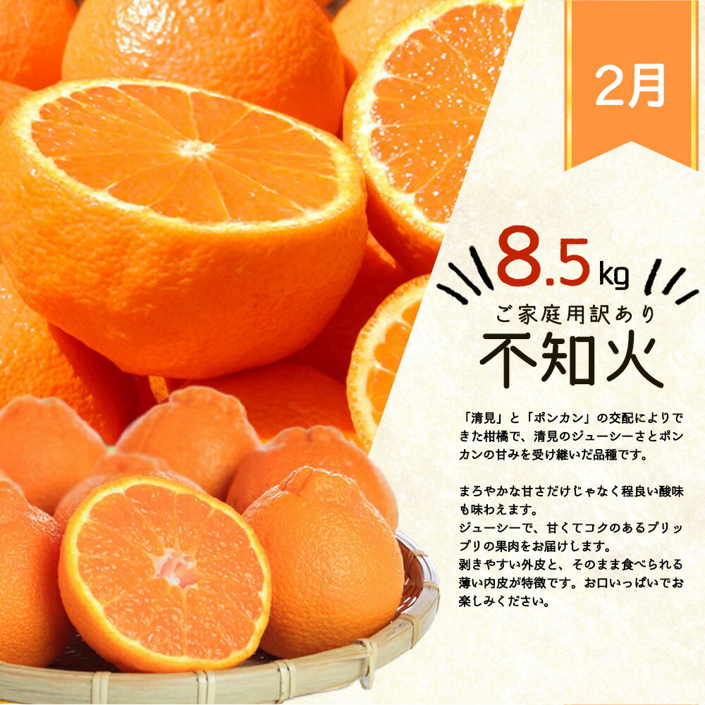 G60-T45_【定期便 全3回】紀州和歌山産 旬のご家庭用 柑橘セット（みかん・不知火・レモン）