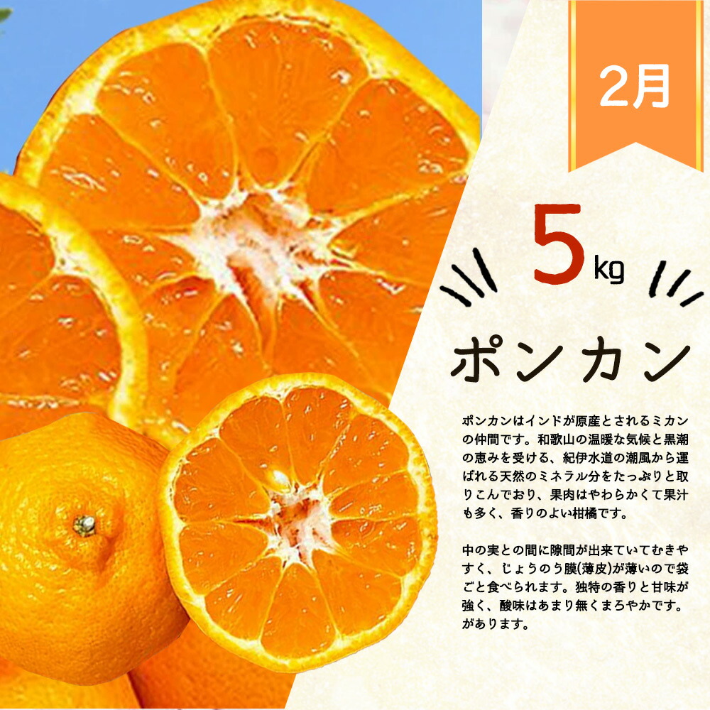 G60-T48_【定期便 全4回】紀州和歌山産旬の柑橘セット（みかん・ポンカン・レモン・清見）