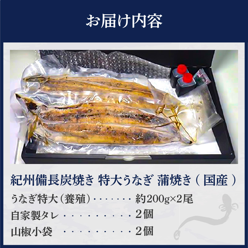 R6102_紀州備長炭焼き 特大 うなぎ 蒲焼き(国産)【鰻 ウナギ 丑の日 土用 蒲焼き 関西風 冷凍】