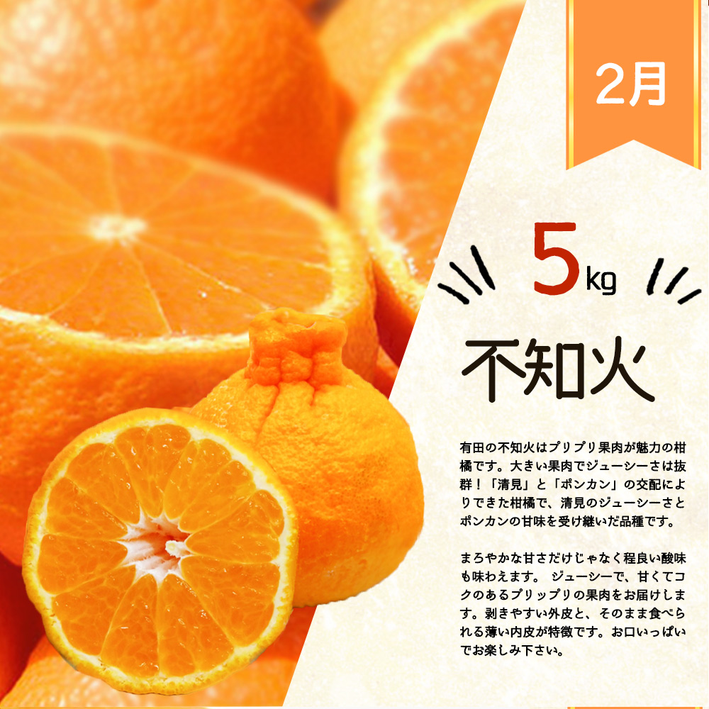 G60-T46_【定期便 全3回】紀州和歌山産旬の柑橘セット（不知火・せとか・ブラッドオレンジ）