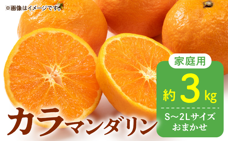 DZ6213_秀品 カラマンダリン なつみ 和歌山 有田 秀品 S～2Lサイズ 大きさお任せ 約3kg
