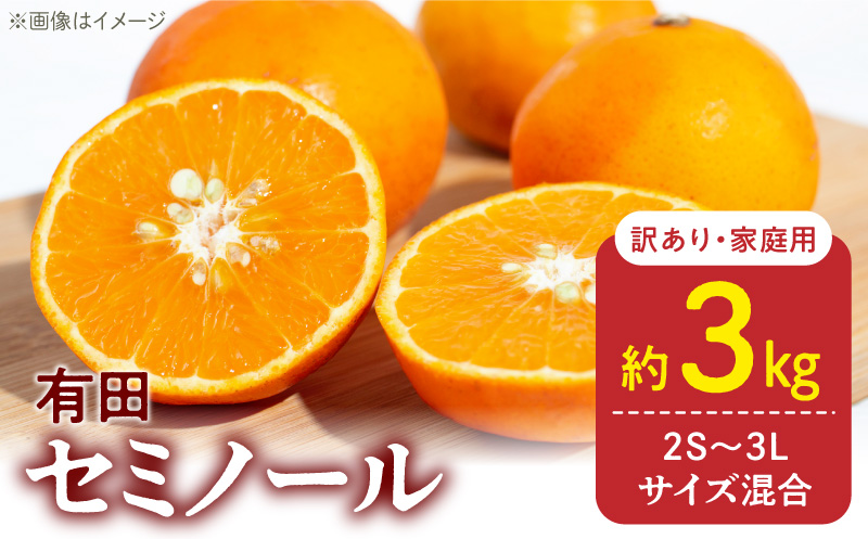 DZ6224_訳あり 家庭用 きよみ 清見オレンジ 和歌山 有田 2S～3Lサイズ混合 3kg