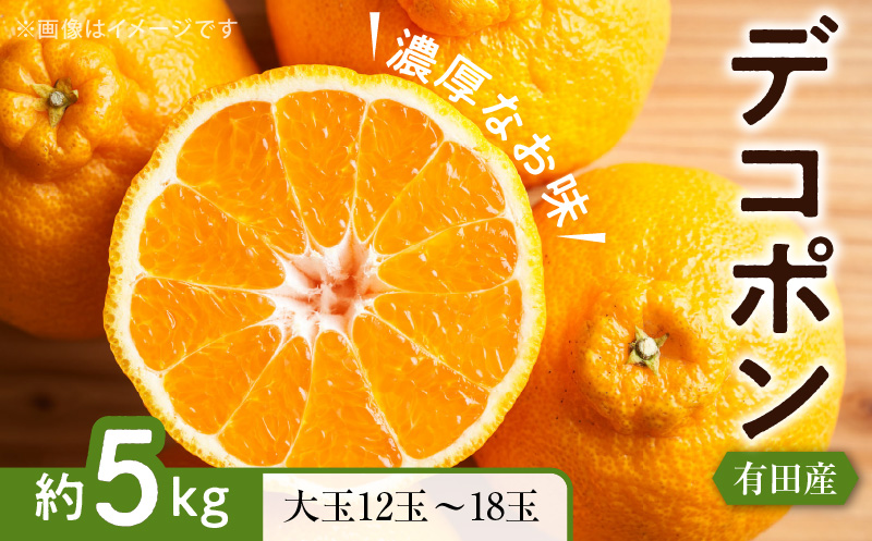 ZD7000_【お味濃厚】紀州有田産 の 大玉 デコポン 5kg (12玉～18玉入り・青秀以上)