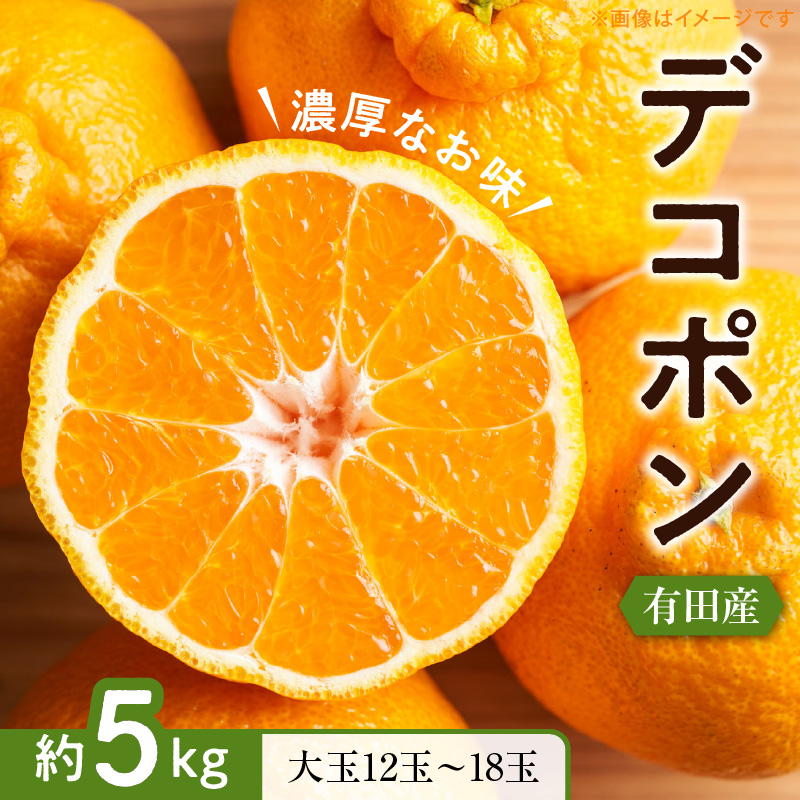 ZD7000_【2027年先行予約】【お味濃厚】紀州有田産 の 大玉 デコポン 5kg (12玉～18玉入り・青秀以上)