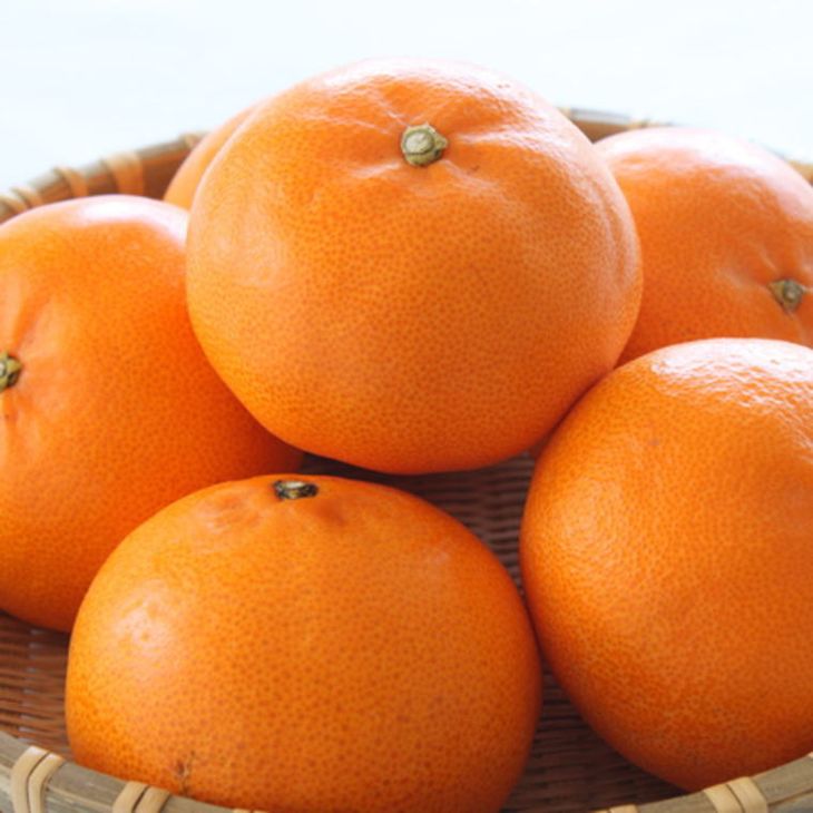 ZD7002_【2026年先行予約】一度は食べていただきたい 有田産のせとか 4～5kg（サイズおまかせ）