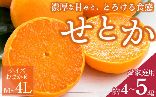 ZD7003_一度は食べていただきたい 有田産のせとか 【訳あり 家庭用】 4kg～5kg (サイズおまかせ)