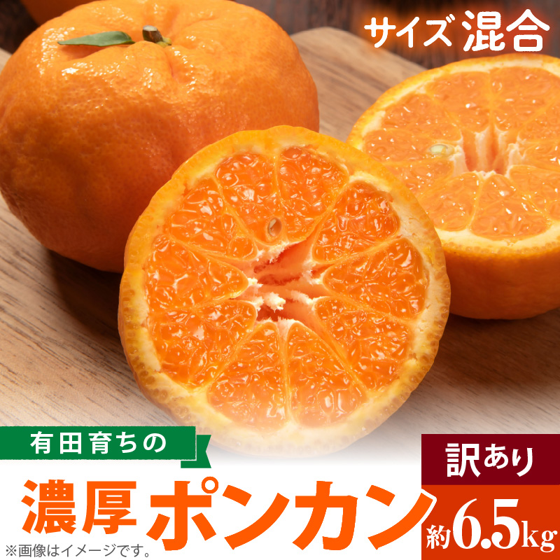 AB7203_（先行予約）（極甘柑橘）有田育ちの 濃厚 ポンカン （訳あり 家庭用）6.5kg