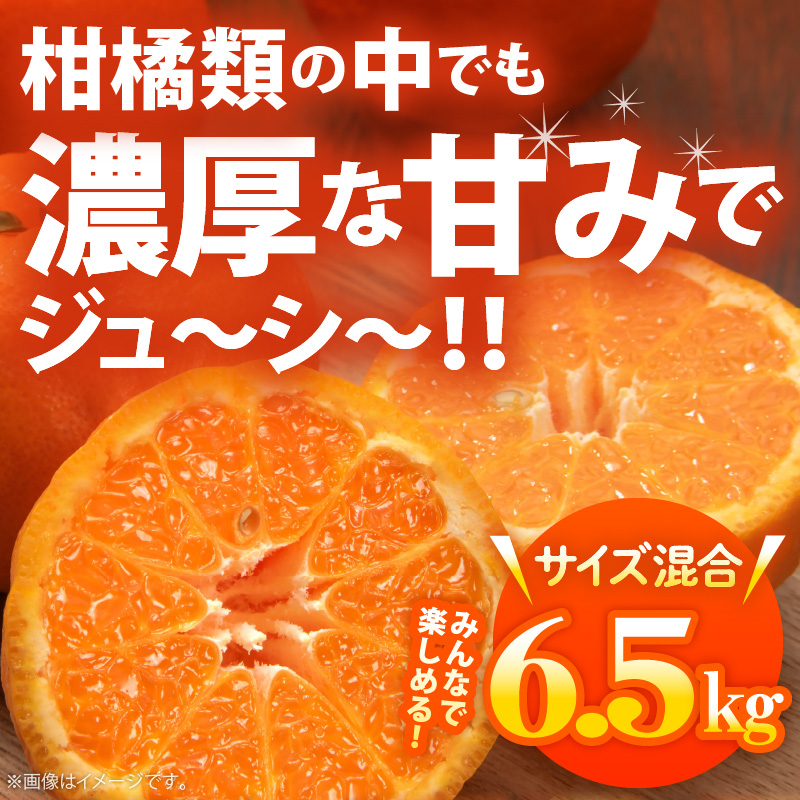 AB7203_（先行予約）（極甘柑橘）有田育ちの 濃厚 ポンカン （訳あり 家庭用）6.5kg
