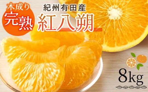 G7105_【2026年先行予約】紀州有田産 木成り完熟 紅八朔 8kg