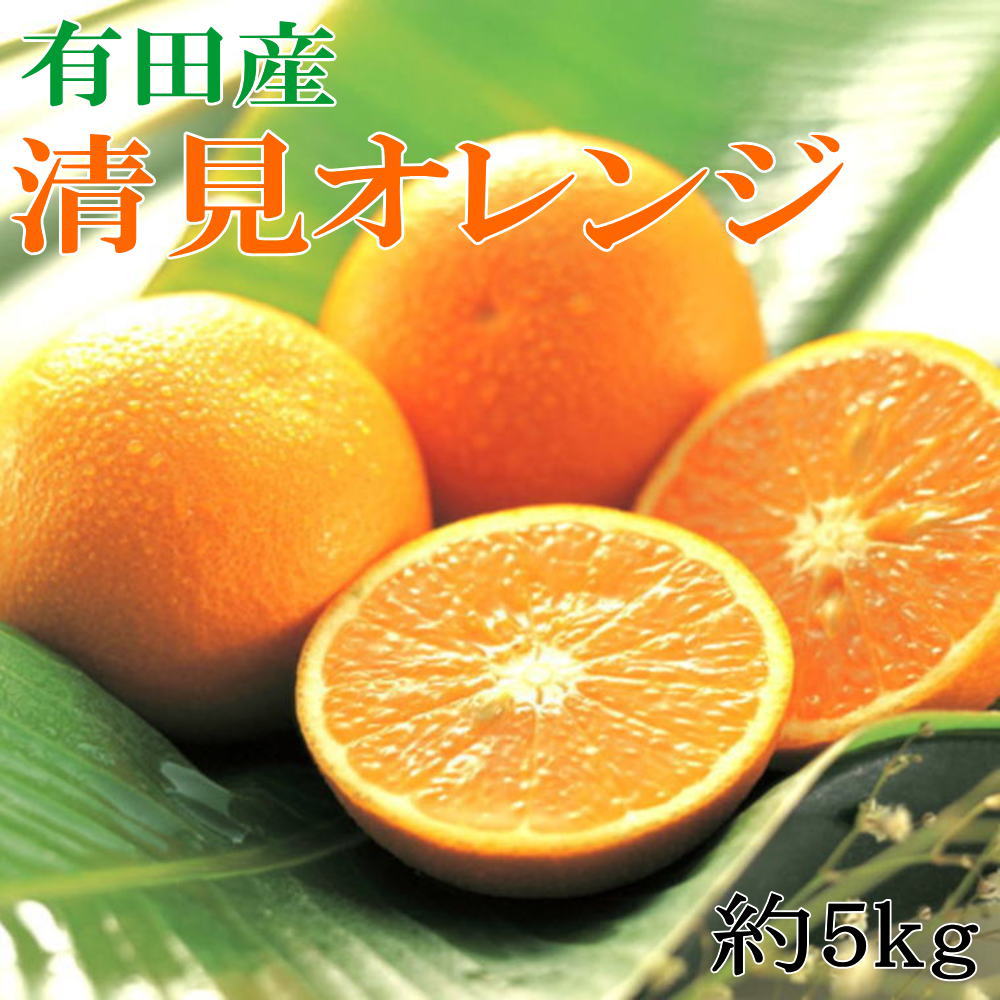 ZD7005_【濃厚】有田産清見オレンジ約5kg（サイズおまかせ・青秀以上）