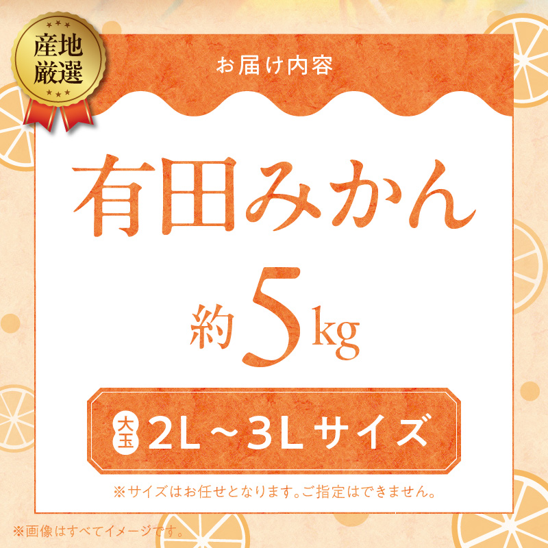 ZA95000_（先行予約）産地厳選 有田みかん 約5kg(大玉:2L～3Lサイズ)　紀州グルメ市場