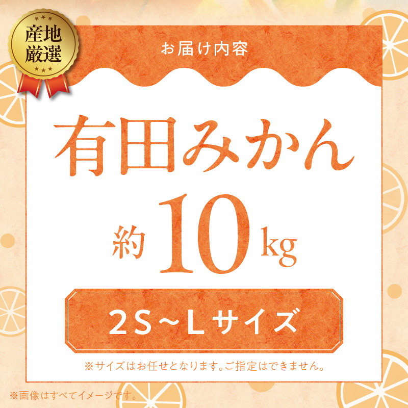 ZA95005_（先行予約）産地厳選 有田みかん 約10kg (2S～Lサイズ)　紀州グルメ市場