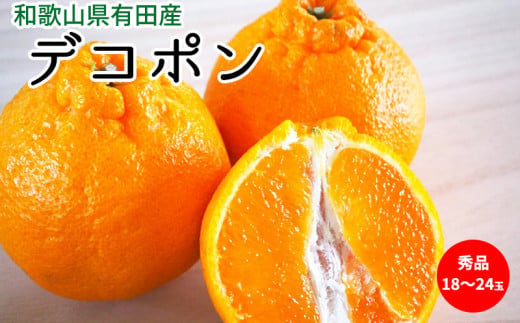 【2027年先行予約】デコポン 秀品 18玉～24玉 和歌山県有田産_U6300