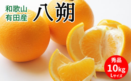 【2027年先行予約】八朔 秀品 約10kg Lサイズ 和歌山県有田産_U6301
