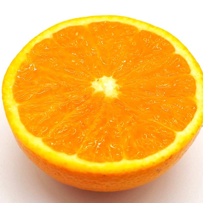 U6303_清見オレンジ 秀品 約9～10kg 和歌山県有田産