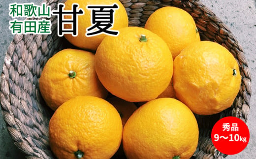 U6304_甘夏 秀品 約9～10kg 和歌山県有田産