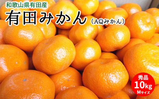 【2026年先行予約】有田みかん（AQみかん）約10kg Mサイズ 和歌山県有田産_U6305