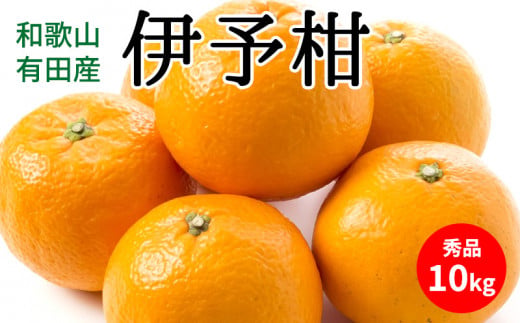 【2027年先行予約】伊予柑 秀品 約10kg 和歌山県有田産_U6307