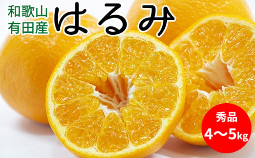 【2027年先行予約】はるみ 秀品 約4～5kg 和歌山県有田産_U6308
