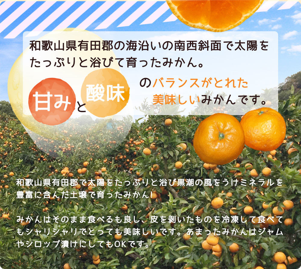 ZJ6088_縺泌ョカ蠎ュ逕ィ縲蜥梧ュ悟アア 譛臥伐縺ソ縺九s 邏10kg (M縲´繧オ繧、繧コ)縲先ケッ豬逕コ縲