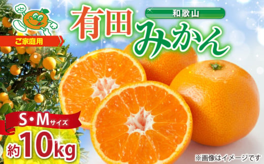 ZJ6077_ご家庭用　和歌山 有田みかん 約10kg (S、Mサイズ)【湯浅町】