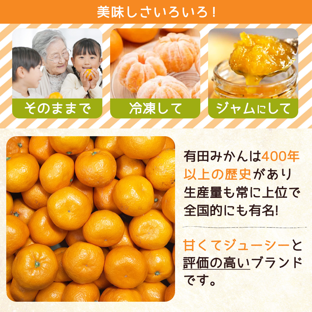 ZJ6077_縺泌ョカ蠎ュ逕ィ縲蜥梧ュ悟アア 譛臥伐縺ソ縺九s 邏10kg (S縲`繧オ繧、繧コ)縲先ケッ豬逕コ縲