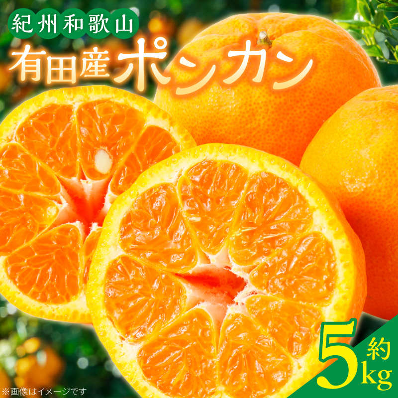 G7055_【2027年先行予約】紀州和歌山有田産 ポンカン 5kg