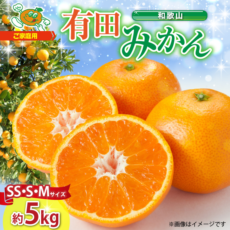 ZJ6081_【2026年先行予約】【ご家庭用】和歌山 有田みかん 約5kg (SS、S、Mサイズ)【湯浅町】