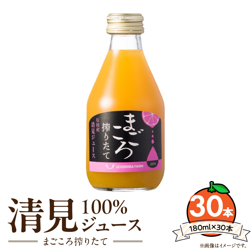 ZE6458_【まごころ搾りたて】清見 100%ジュース 180ml × 30本