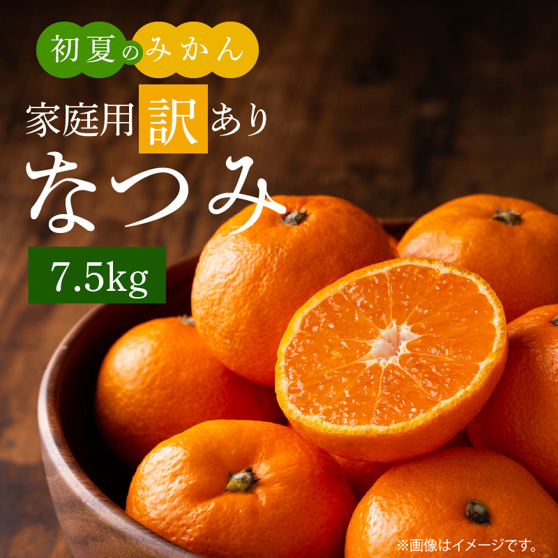 G7073_【2027年先行予約】初夏のみかん なつみ 7.5kg【家庭用 訳あり】【ミカン 蜜柑 柑橘 和歌山 有田 南津海】