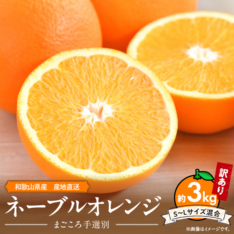 ZE6443_和歌山県産 ネーブルオレンジ 【訳あり 家庭用】3kg サイズ混合【まごころ手選別】