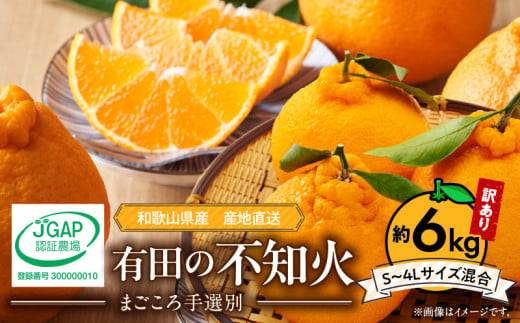 ZE6015n_【2026年先行予約】有田の不知火(しらぬひ) 【訳あり　家庭用】　6kg (S～4Lサイズ混合)まごころ手選別