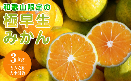 EA6104_和歌山県限定の極早生みかん 3kg (YN-26 大小混合)