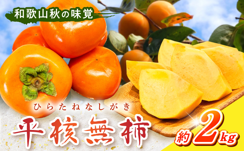 G7109_【2026年 先行予約】和歌山秋の味覚 平核無柿（ひらたねなしがき）約2kg 化粧箱入