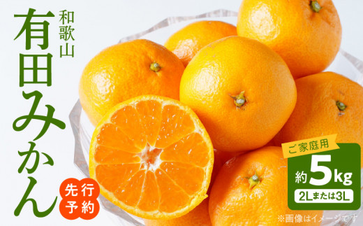 AT6307_ご家庭用　和歌山有田みかん 約5kg (2L、3Lサイズいずれか)【湯浅町】