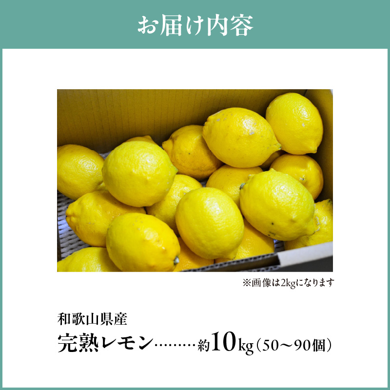 EA6013_和歌山県産 完熟 レモン 10kg 皮まで使用可能（栽培期間中農薬不使用）