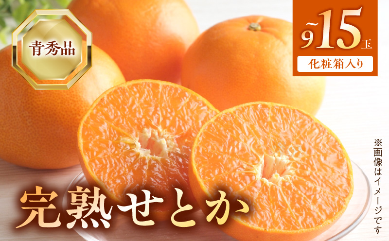 【2027年先行受付】完熟 せとか 青秀品 9～15玉 化粧箱_BF6049n